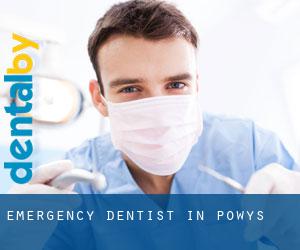 Emergency Dentist in Powys