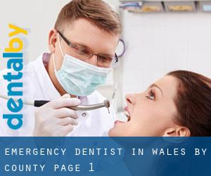 Emergency Dentist in Wales by County - page 1