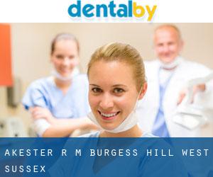Akester R M (burgess hill, west sussex)
