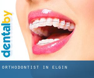 Orthodontist in Elgin Orthodontist in Elgin