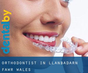 Orthodontist in Llanbadarn-fawr (Wales)