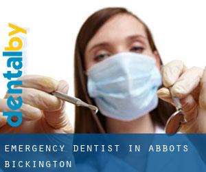 Emergency Dentist in Abbots Bickington