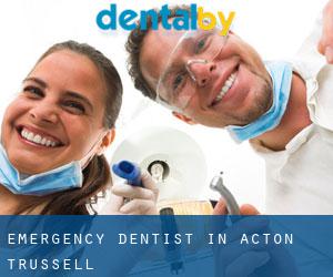 Emergency Dentist in Acton Trussell