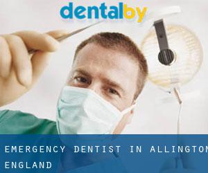 Emergency Dentist in Allington (England)