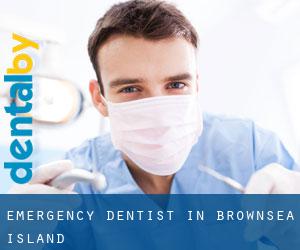 Emergency Dentist in Brownsea Island