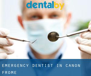Emergency Dentist in Canon Frome