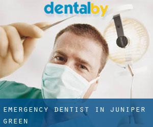 Emergency Dentist in Juniper Green