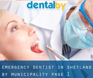 Emergency Dentist in Shetland by municipality - page 1