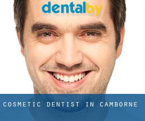 Cosmetic Dentist in Camborne Cosmetic Dentist in Camborne