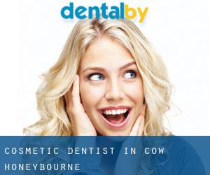 Cosmetic Dentist in Cow Honeybourne