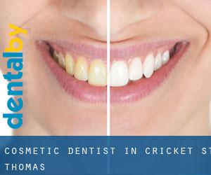 Cosmetic Dentist in Cricket St Thomas