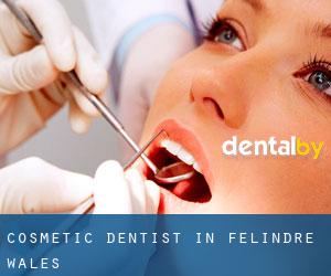 Cosmetic Dentist in Felindre (Wales)