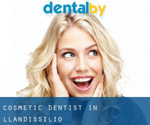 Cosmetic Dentist in Llandissilio