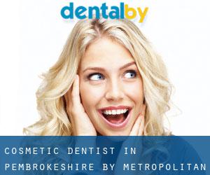 Cosmetic Dentist in Pembrokeshire by metropolitan area - page 4