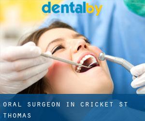 Oral Surgeon in Cricket St Thomas