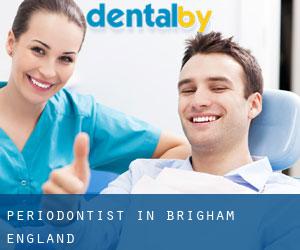 Periodontist in Brigham (England)