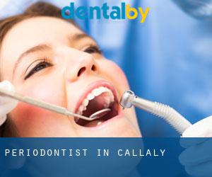 Periodontist in Callaly