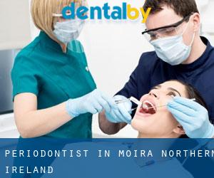 Periodontist in Moira (Northern Ireland)