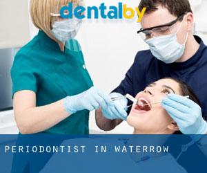 Periodontist in Waterrow
