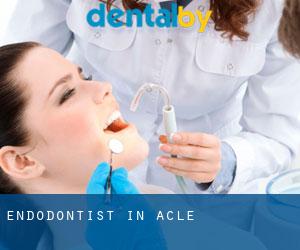 Endodontist in Acle