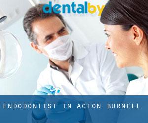 Endodontist in Acton Burnell