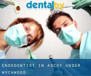 Endodontist in Ascot under Wychwood