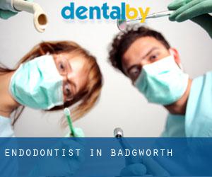 Endodontist in Badgworth