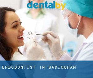 Endodontist in Badingham
