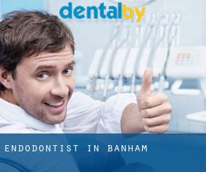 Endodontist in Banham