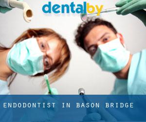 Endodontist in Bason Bridge