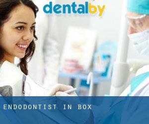 Endodontist in Box