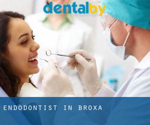Endodontist in Broxa