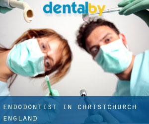 Endodontist in Christchurch (England)