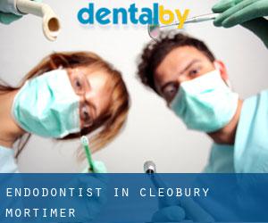 Endodontist in Cleobury Mortimer