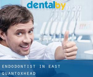 Endodontist in East Quantoxhead