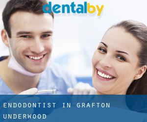 Endodontist in Grafton Underwood