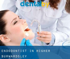 Endodontist in Higher Burwardsley
