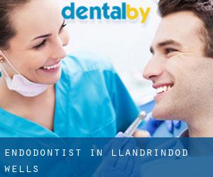 Endodontist in Llandrindod Wells