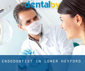 Endodontist in Lower Heyford