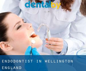 Endodontist in Wellington (England)