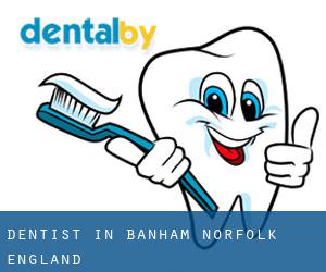 dentist in Banham (Norfolk, England)