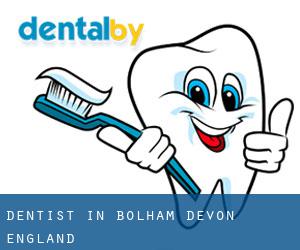 dentist in Bolham (Devon, England)