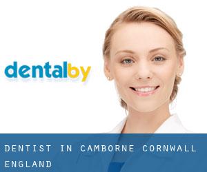 dentist in Camborne (Cornwall, England) dentist in Camborne (Cornwall, England)
