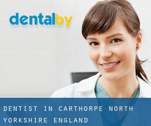 dentist in Carthorpe (North Yorkshire, England)