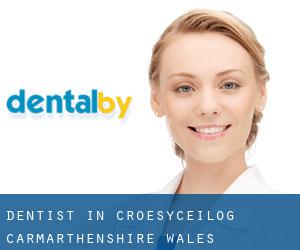 dentist in Croesyceilog (Carmarthenshire, Wales)