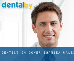dentist in Gower (Swansea, Wales)