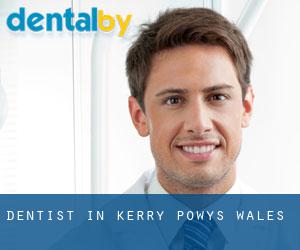dentist in Kerry (Powys, Wales)