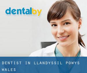 dentist in Llandyssil (Powys, Wales)