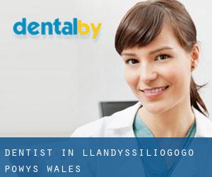 dentist in Llandyssiliogogo (Powys, Wales)