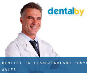 dentist in Llangadwaladr (Powys, Wales)
